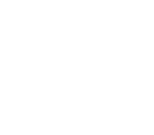 Community Healing Network